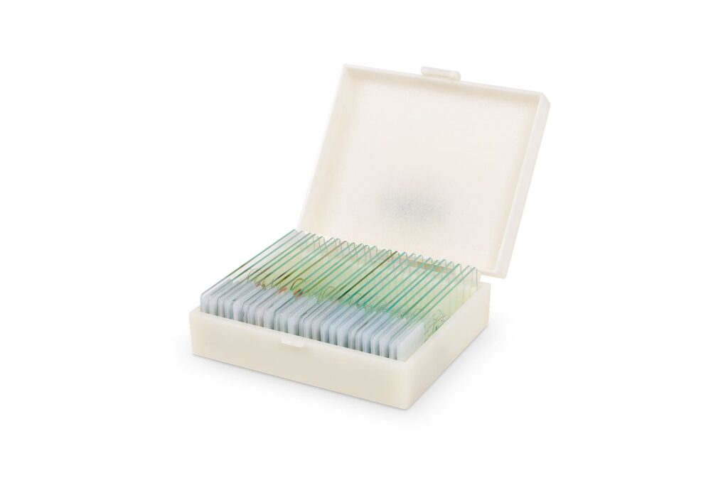 Zubehoer Mikroskop-Praeparate-kaufen-Mikro-Organismen-Pflanzen-25X